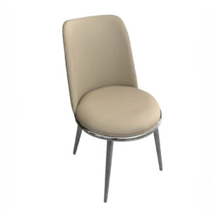 Side Chair (2/CTN), Silver/Taupe