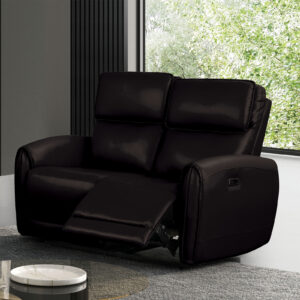 Power Loveseat