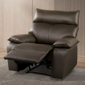 Recliner, Brown