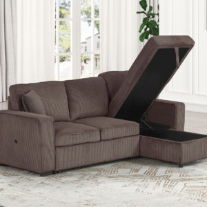 Sofa w/ Pullout Sleeper