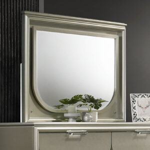 Mirror w/ LED, Silver