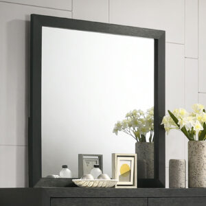 Mirror, Black