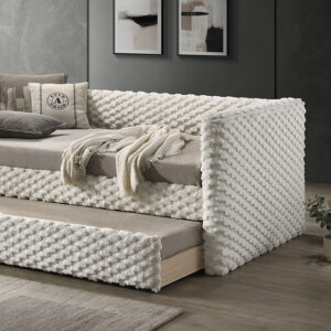 Twin Daybed w/ Trundle